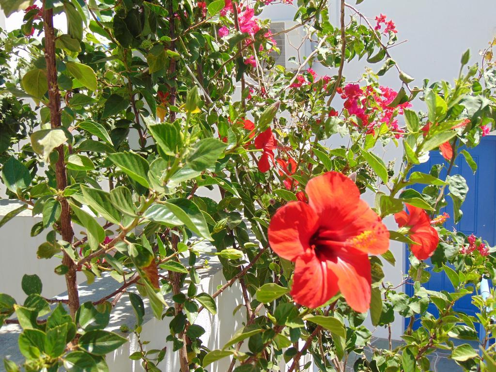 George'S Seaside Apartments Sifnos Vathi  Ngoại thất bức ảnh